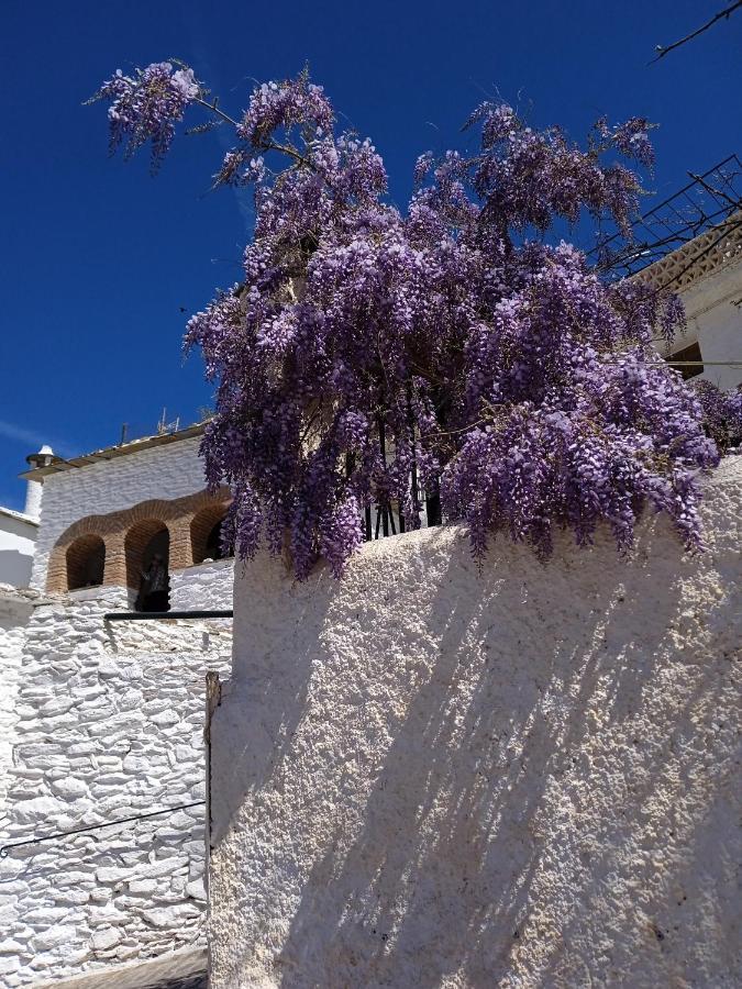 Casa Los Trillizos Pampaneira Εξωτερικό φωτογραφία